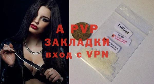 тгк Вяземский
