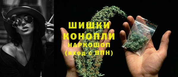 тгк Вяземский