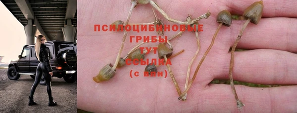 a pvp Вязьма