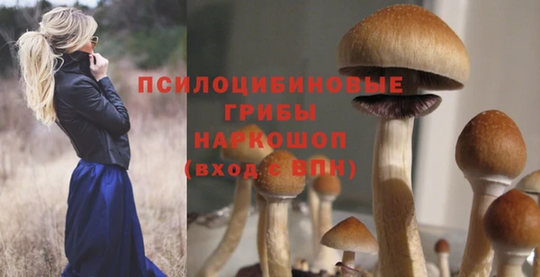 a pvp Вязьма