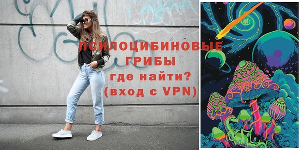 тгк Вяземский