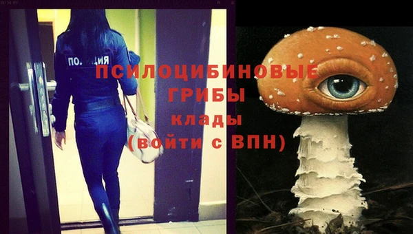 тгк Вяземский