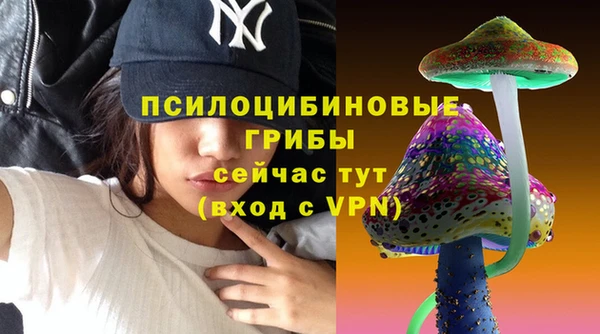 a pvp Вязьма