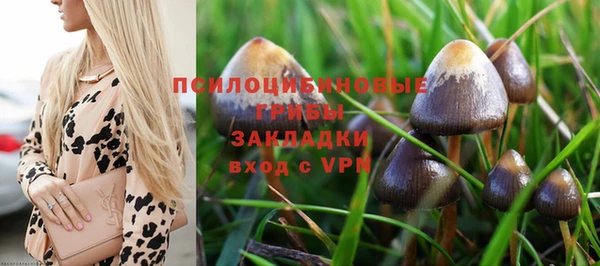 a pvp Вязьма