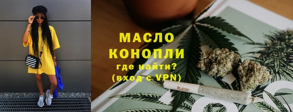 тгк Вяземский