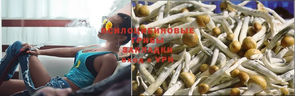 тгк Вяземский